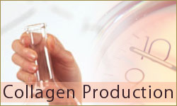 Collagen@Production