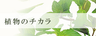 植物のチカラ